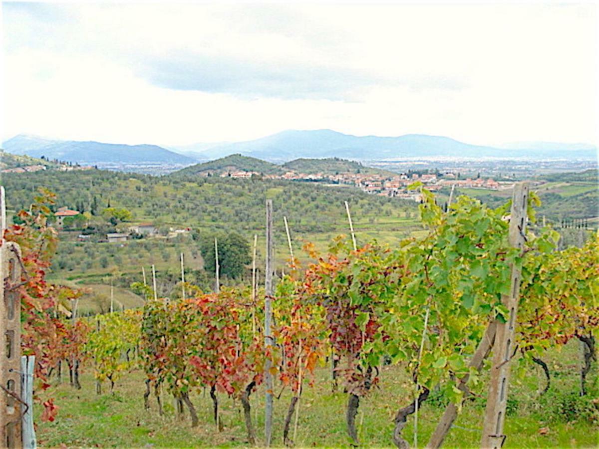 La Solaria Apartman Carmignano Kültér fotó